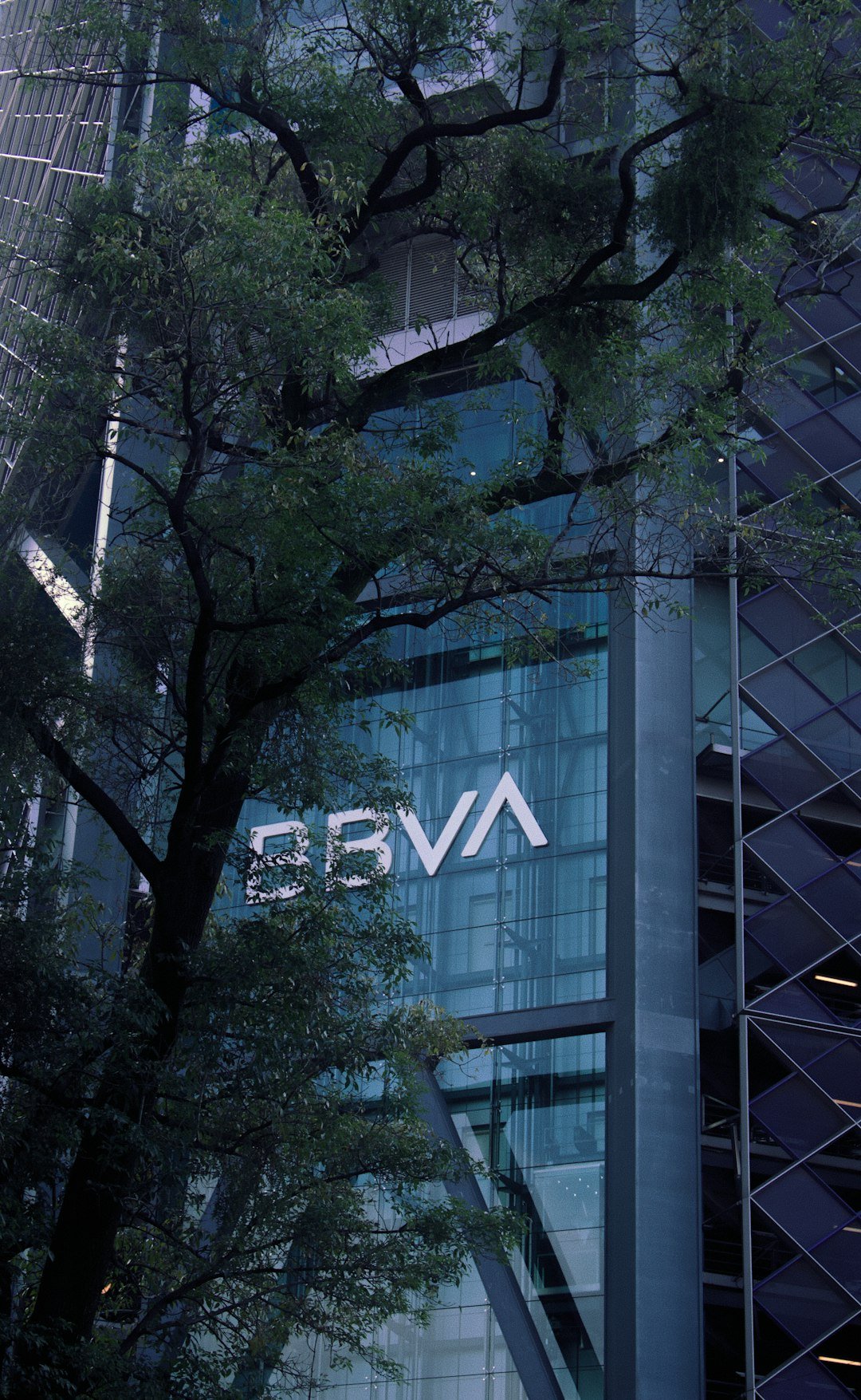 Modern skyscraper with bbva logo and tree branches.